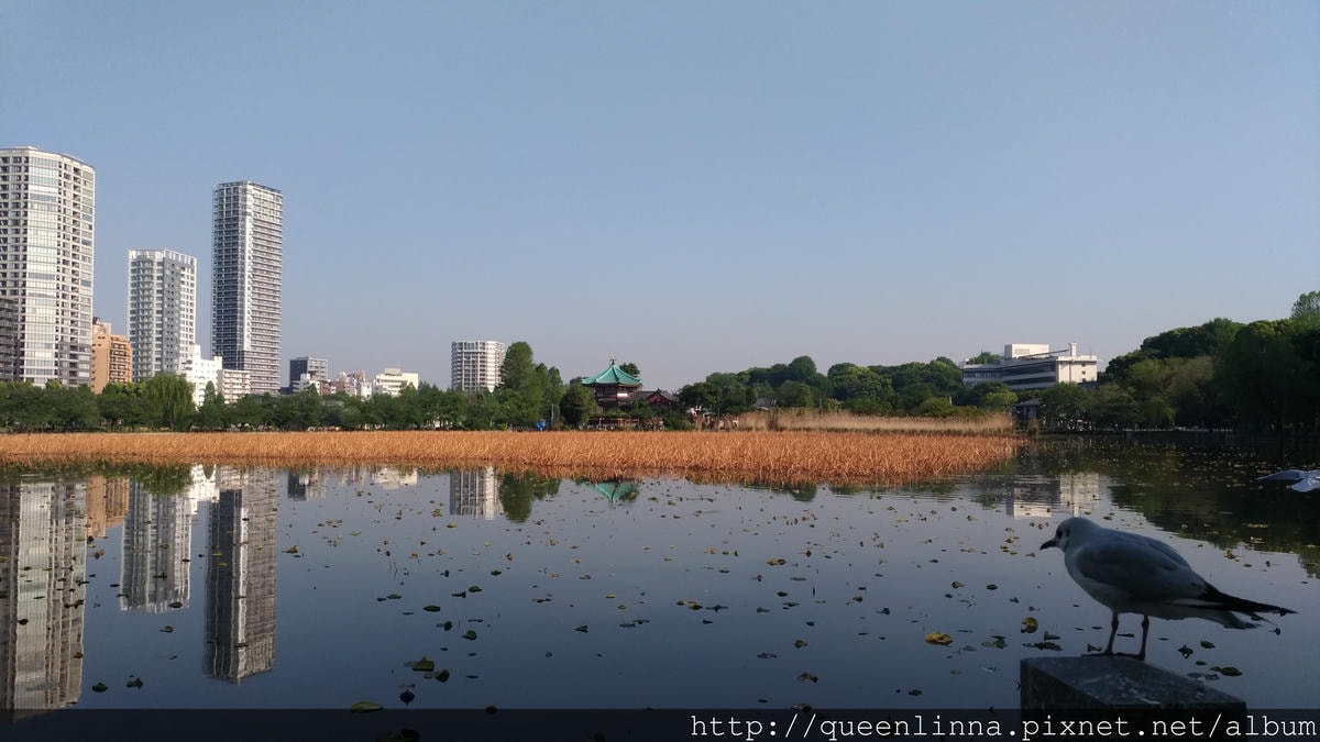 P_20180421_073212_vHDR_Auto.jpg P_20180421_073212_vHDR_Auto.jpg