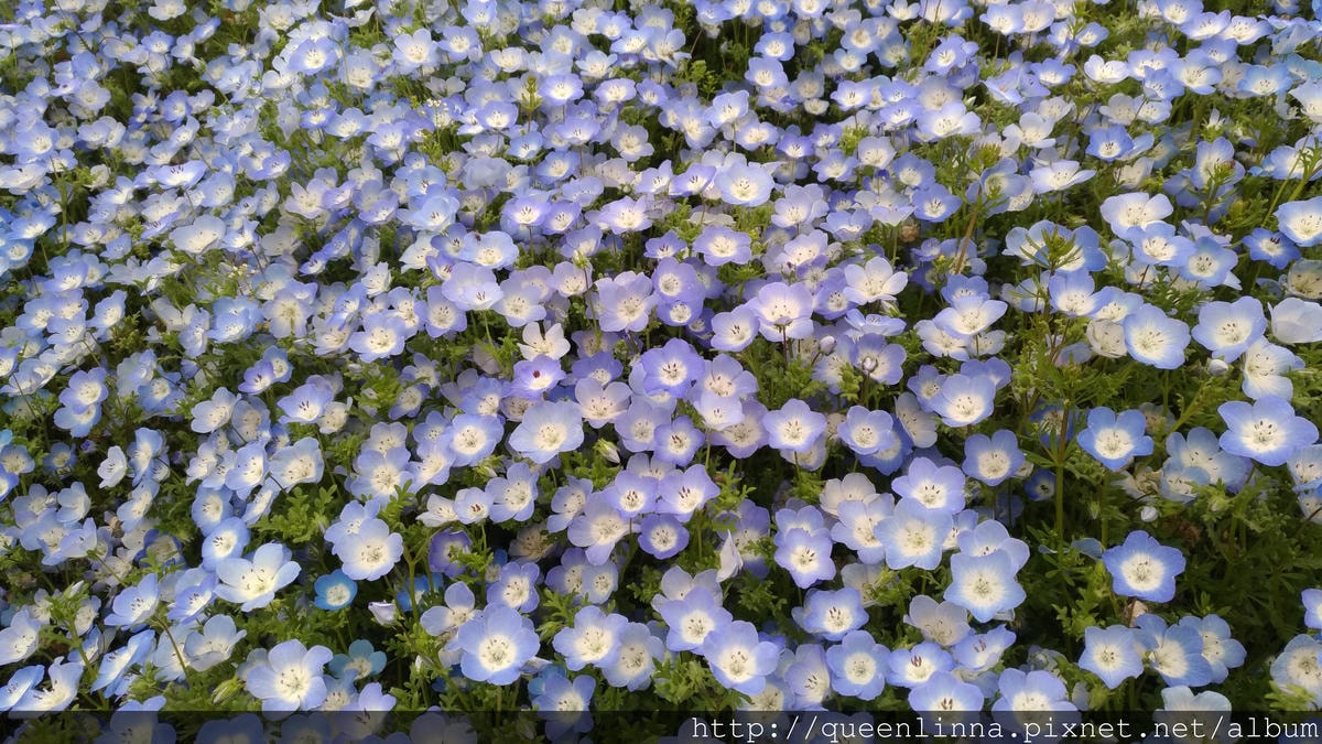 P_20180424_120723_vHDR_Auto.jpg P_20180424_120723_vHDR_Auto.jpg