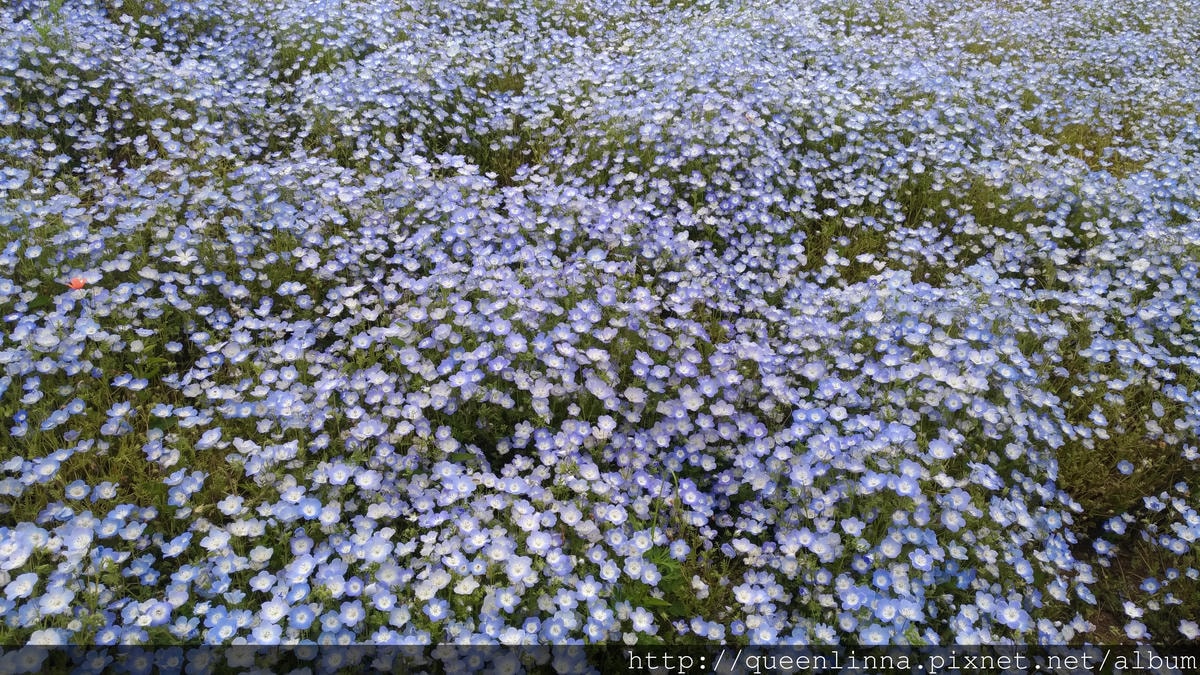 P_20180424_105328_vHDR_Auto.jpg P_20180424_105328_vHDR_Auto.jpg