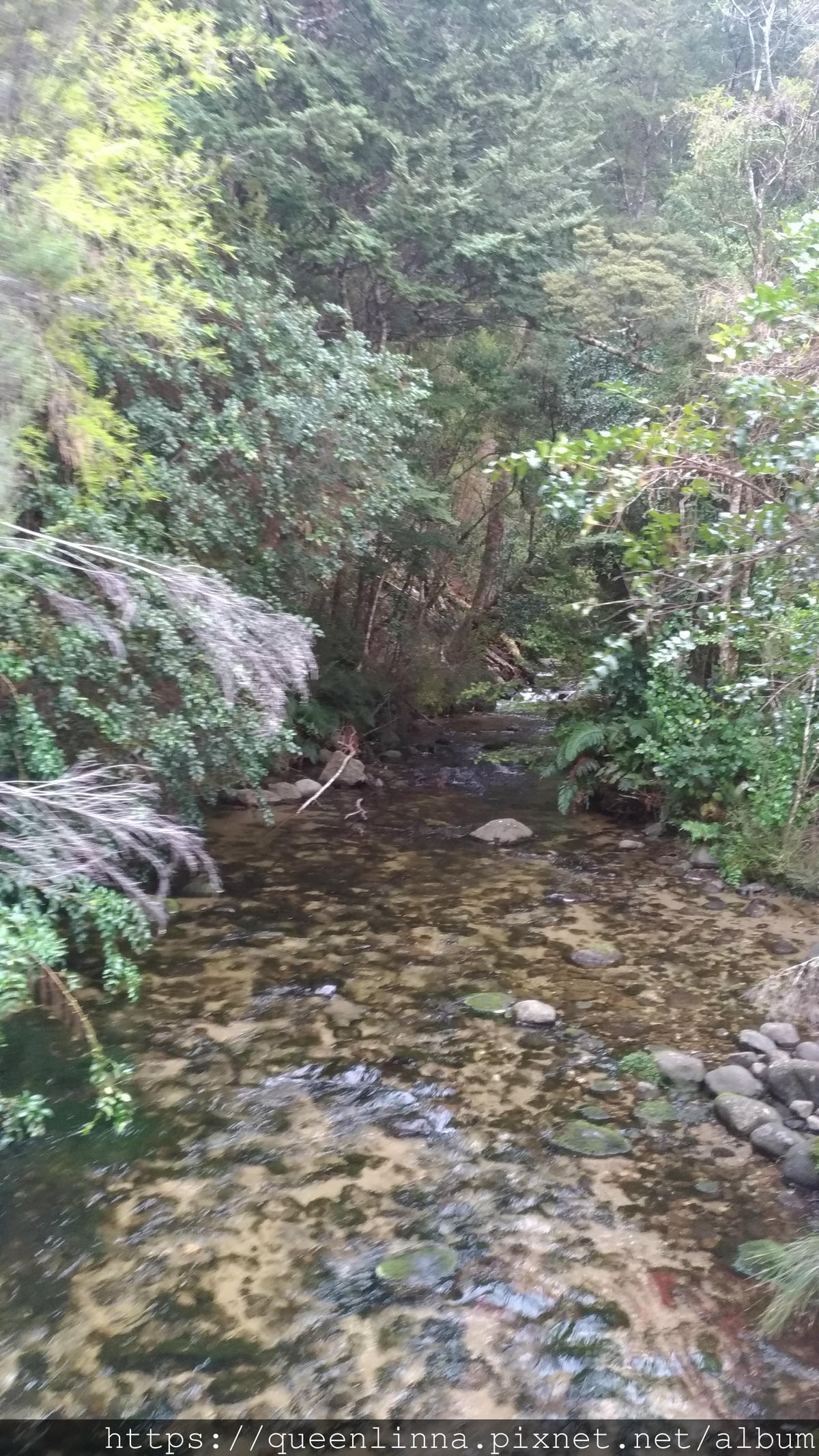 P_20190404_093142_vHDR_Auto.jpg P_20190404_093142_vHDR_Auto.jpg