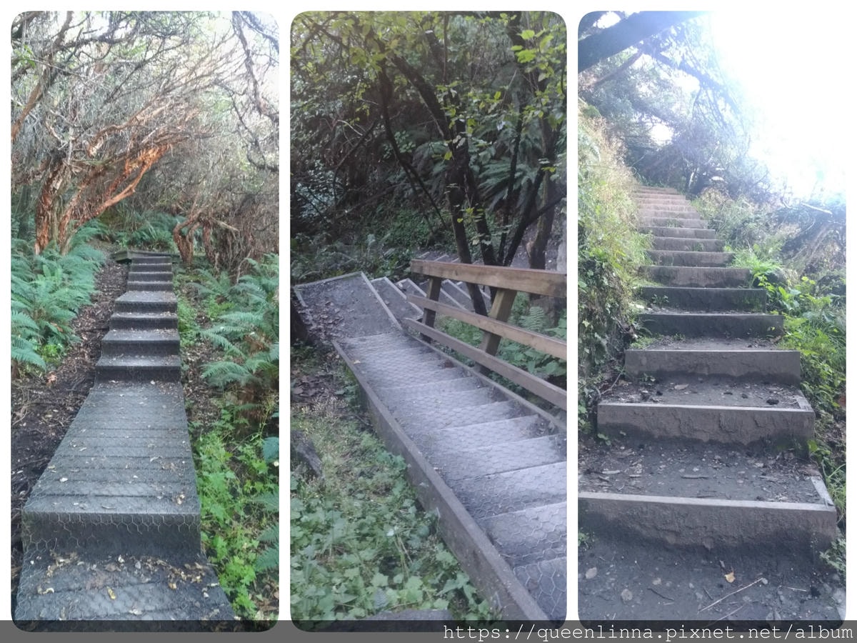 19-06-17-14-42-09-614_deco.jpg 19-06-17-14-42-09-614_deco.jpg