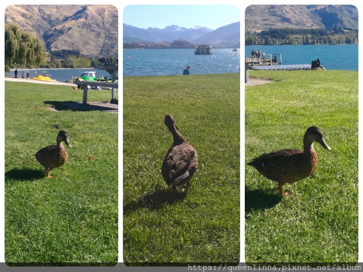 19-06-17-14-49-26-602_deco.jpg 19-06-17-14-49-26-602_deco.jpg