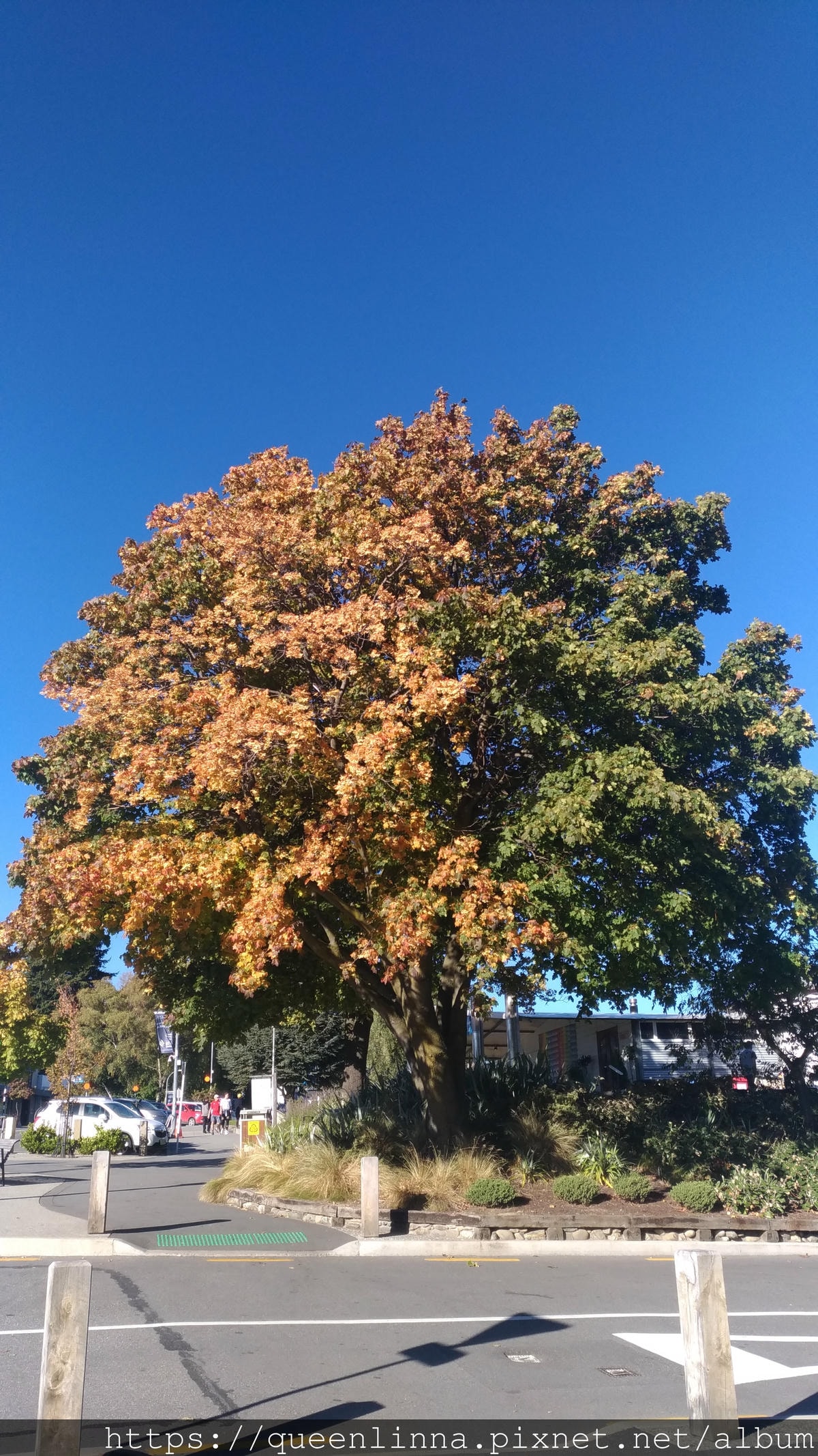 P_20190407_160451_vHDR_Auto.jpg P_20190407_160451_vHDR_Auto.jpg