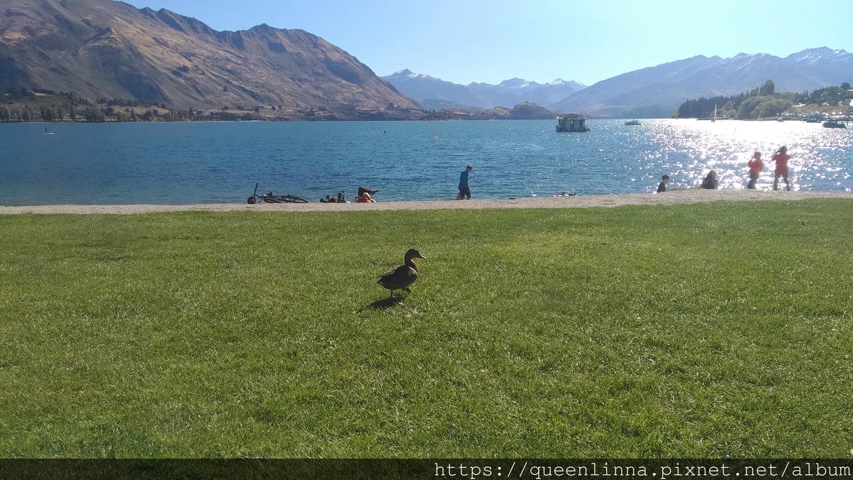 P_20190407_143637_vHDR_Auto.jpg P_20190407_143637_vHDR_Auto.jpg