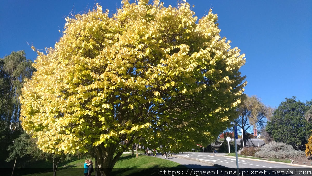 P_20190407_144026_vHDR_Auto.jpg P_20190407_144026_vHDR_Auto.jpg