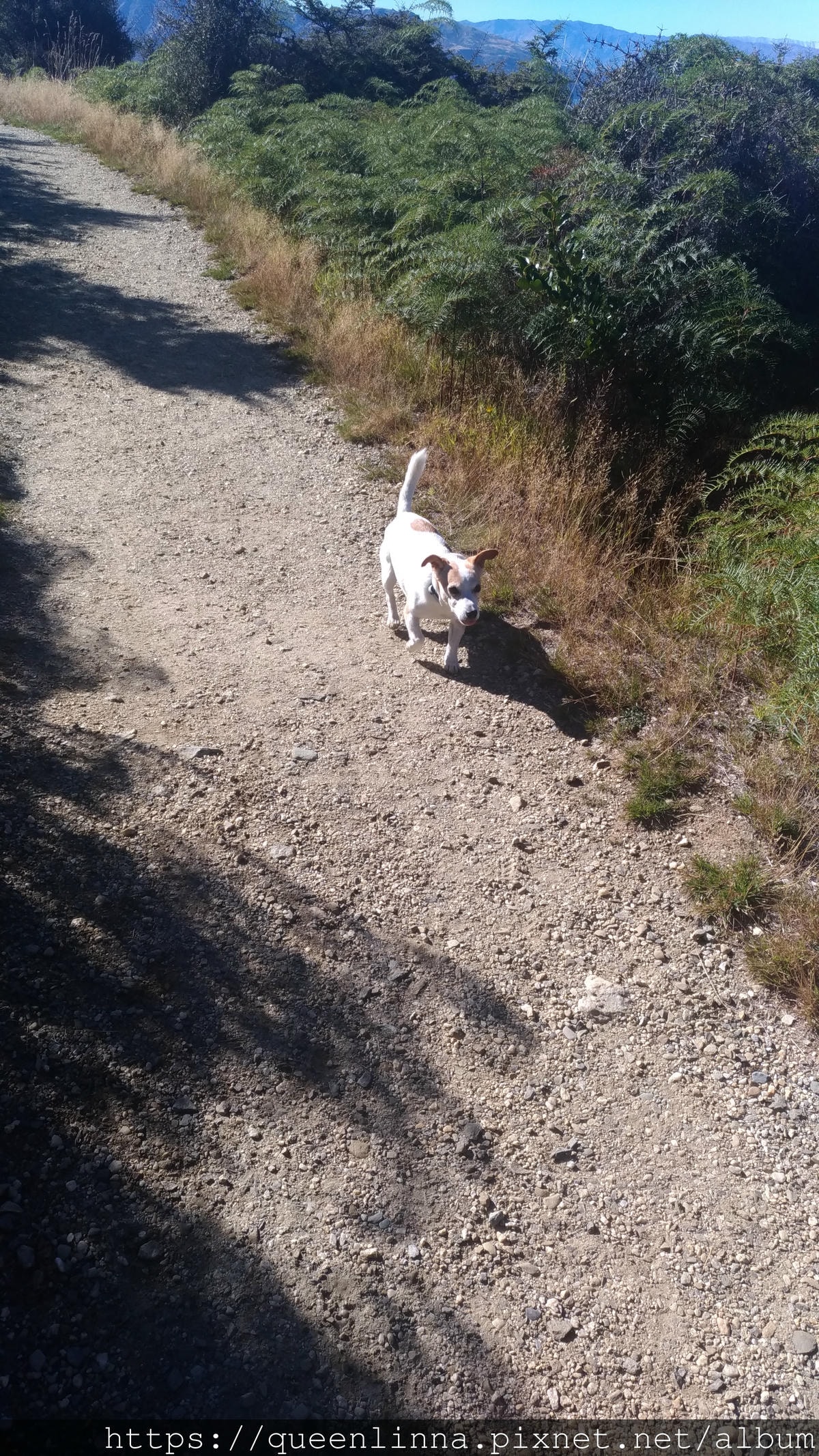 P_20190407_111835_1_vHDR_Auto.jpg P_20190407_111835_1_vHDR_Auto.jpg