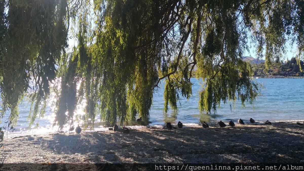 P_20190407_155153_vHDR_Auto.jpg P_20190407_155153_vHDR_Auto.jpg