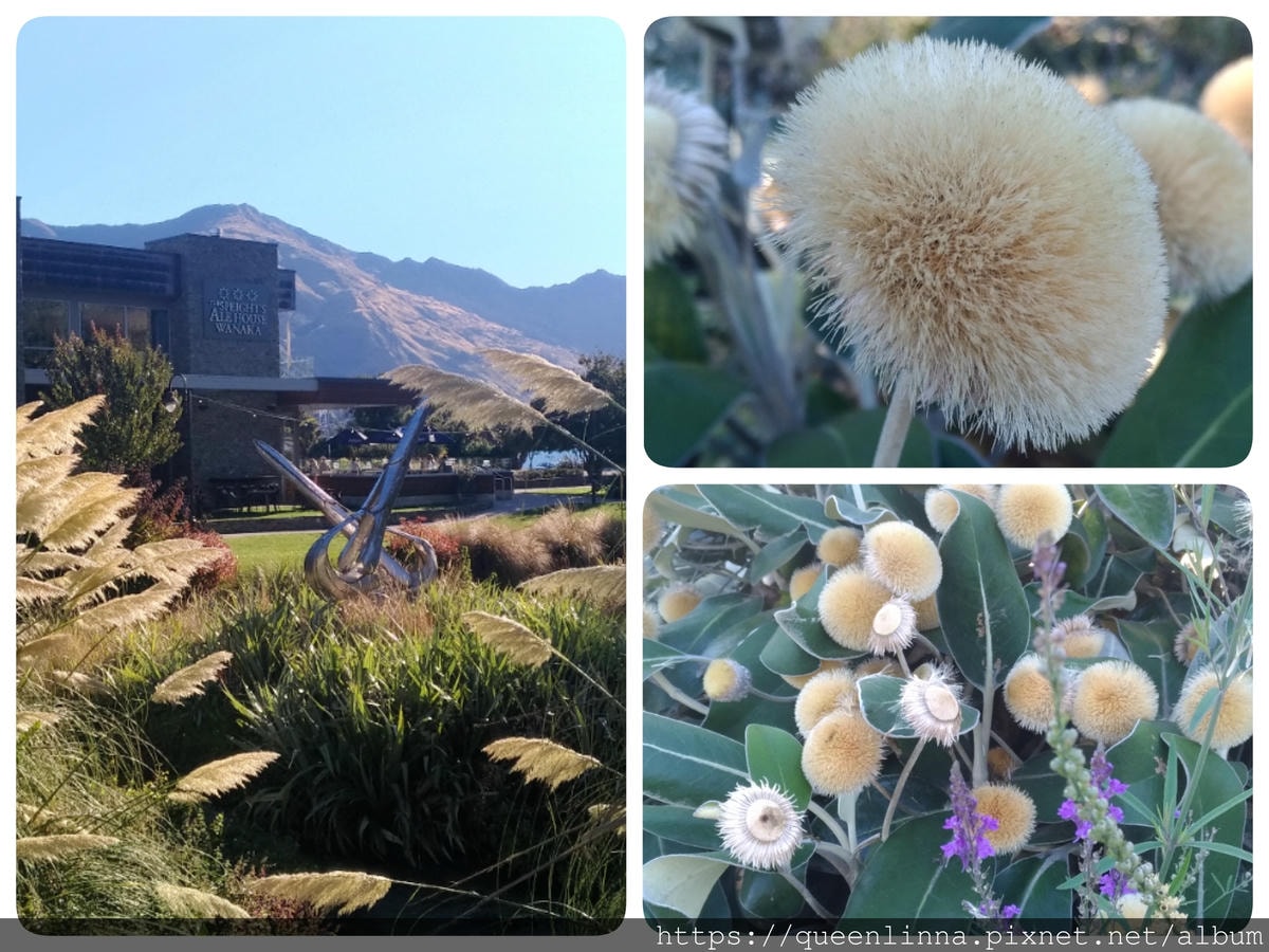 19-06-17-14-55-18-621_deco.jpg 19-06-17-14-55-18-621_deco.jpg