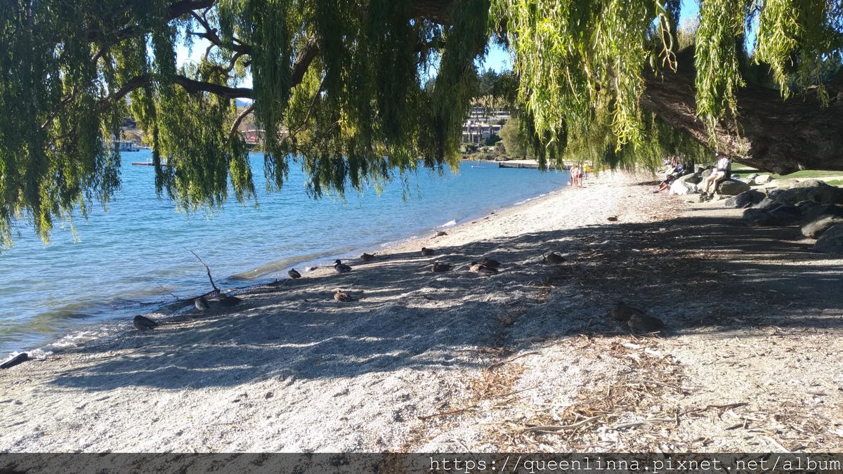 P_20190407_155322_vHDR_Auto.jpg P_20190407_155322_vHDR_Auto.jpg