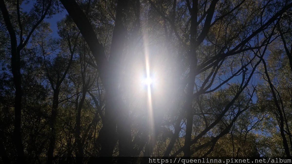 P_20190407_103554_vHDR_Auto.jpg P_20190407_103554_vHDR_Auto.jpg