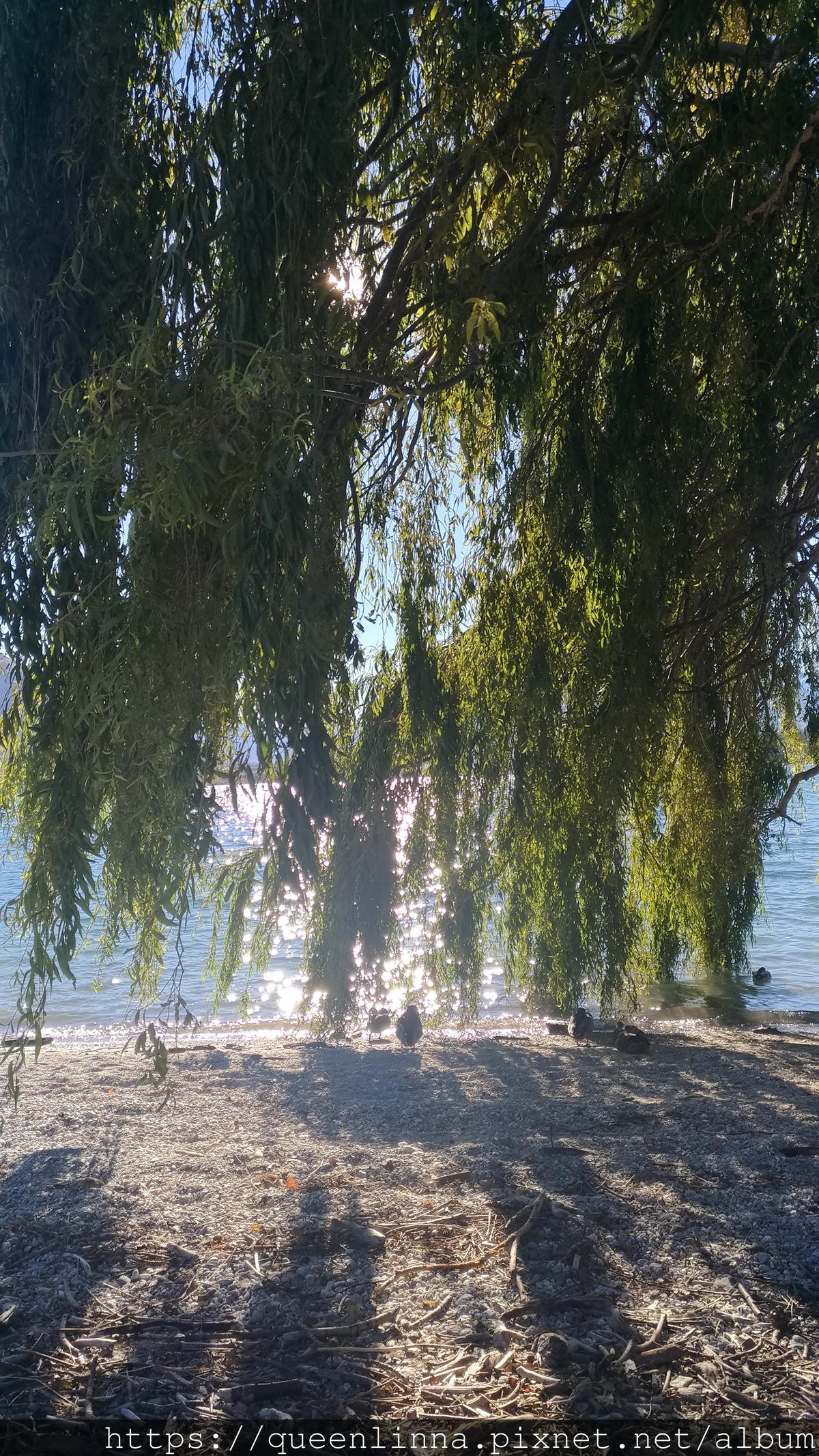 P_20190407_155200_vHDR_Auto.jpg P_20190407_155200_vHDR_Auto.jpg