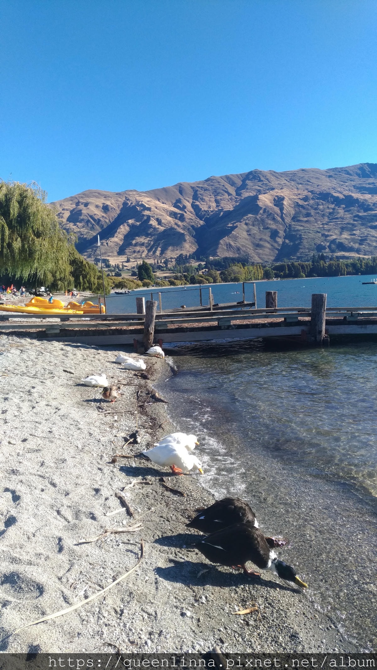 P_20190407_155824_vHDR_Auto.jpg P_20190407_155824_vHDR_Auto.jpg