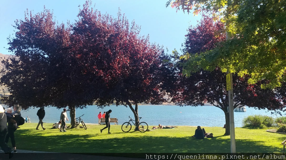 P_20190407_143520_vHDR_Auto.jpg P_20190407_143520_vHDR_Auto.jpg