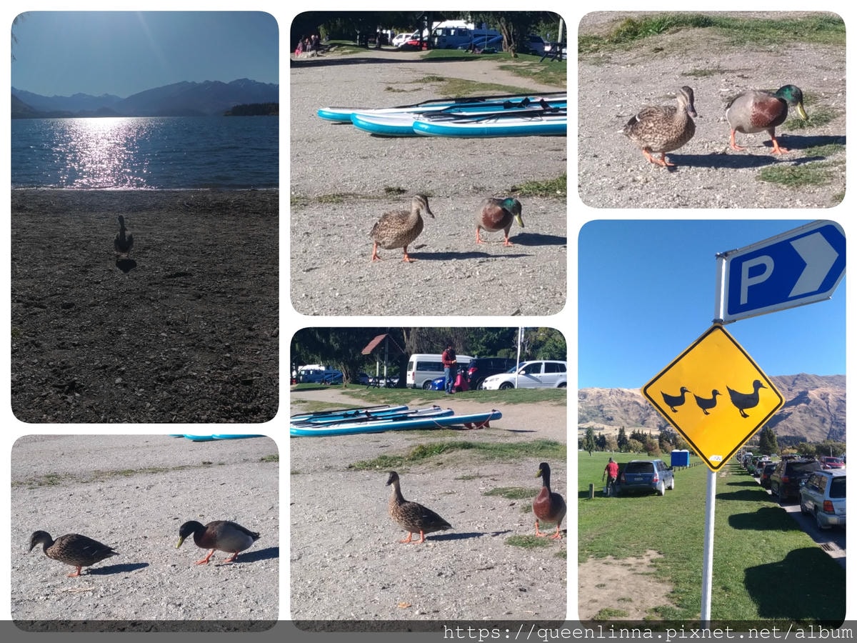 19-06-17-14-53-38-957_deco.jpg 19-06-17-14-53-38-957_deco.jpg