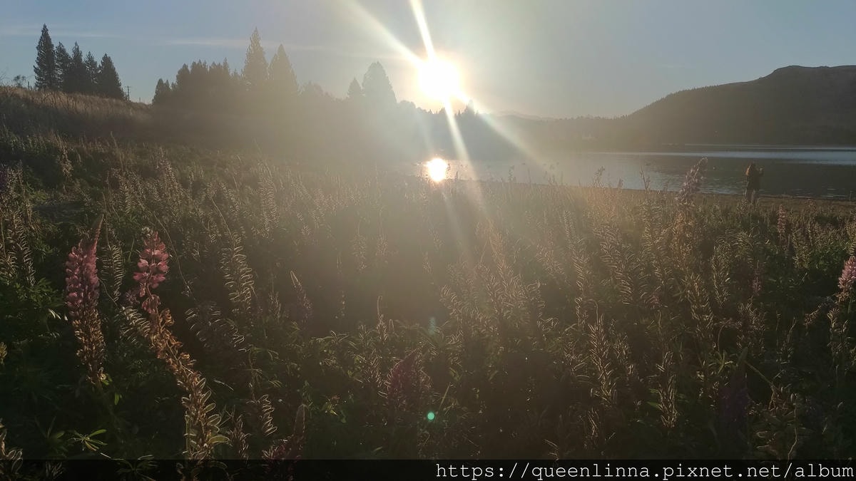 P_20190408_174455_vHDR_Auto.jpg P_20190408_174455_vHDR_Auto.jpg