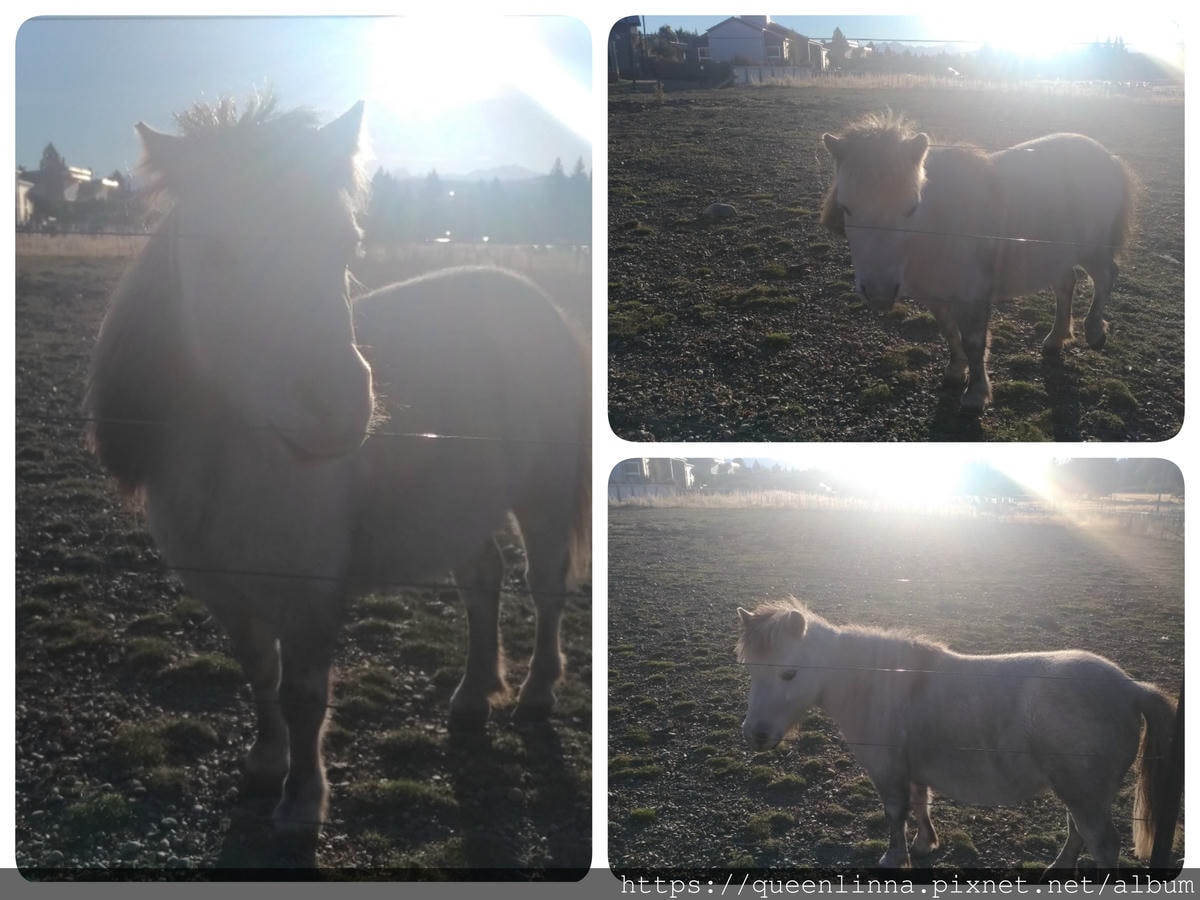 19-06-18-15-48-05-571_deco.jpg 19-06-18-15-48-05-571_deco.jpg