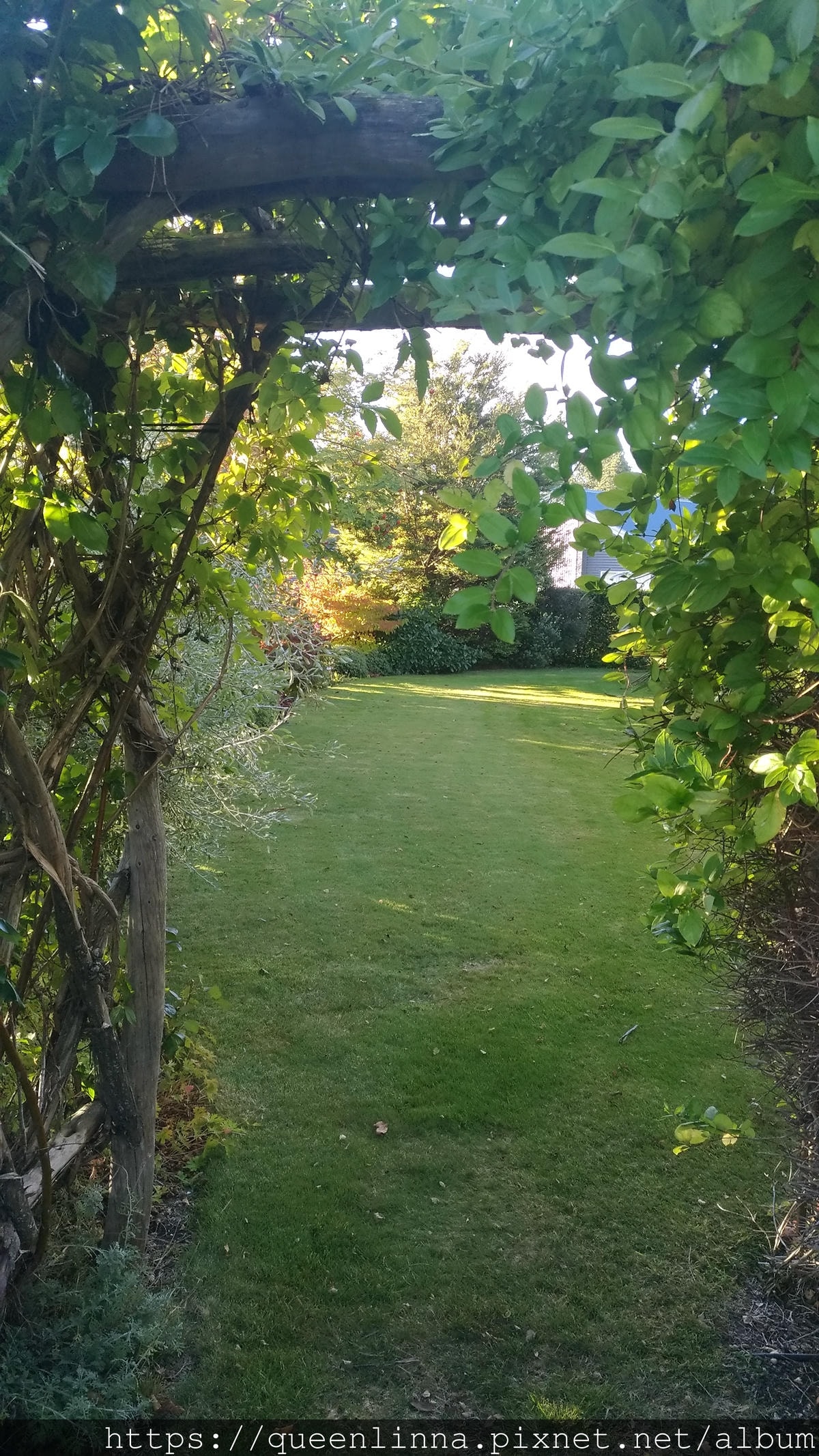 P_20190408_171751_vHDR_Auto.jpg P_20190408_171751_vHDR_Auto.jpg