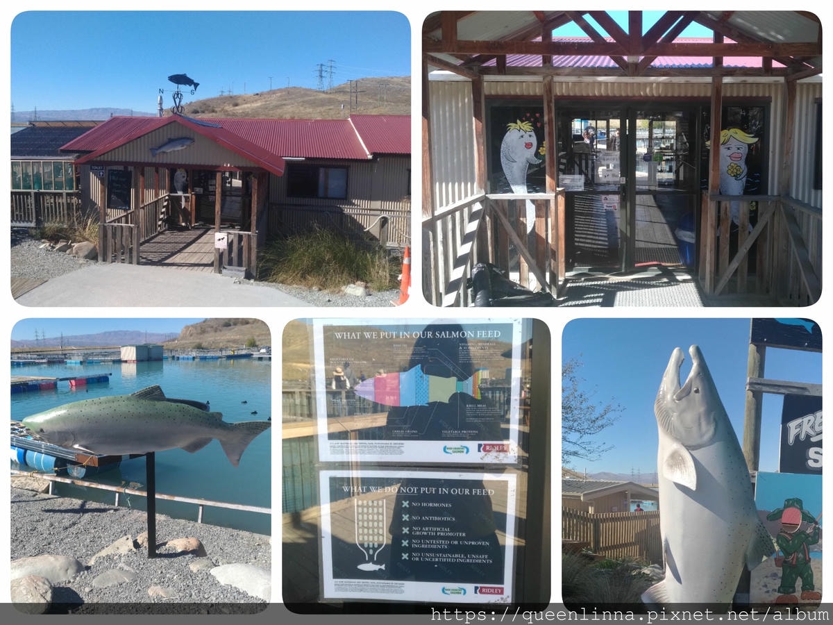 19-06-18-15-29-14-667_deco.jpg 19-06-18-15-29-14-667_deco.jpg