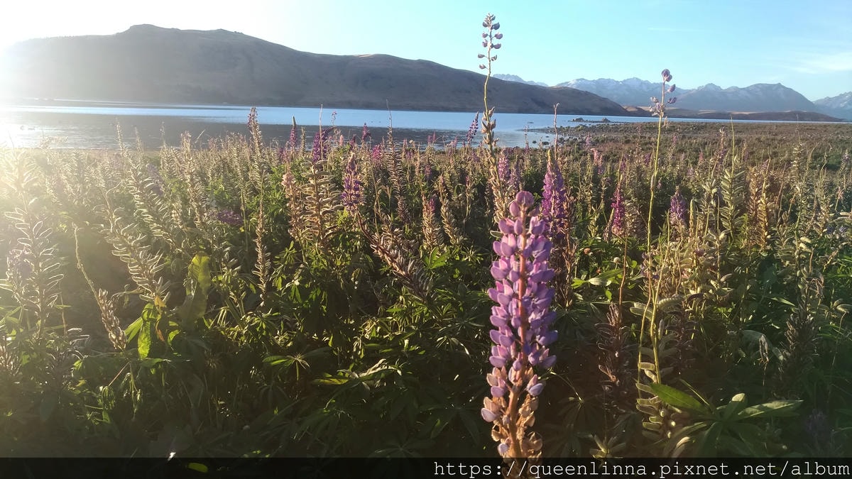 P_20190408_174345_vHDR_Auto.jpg P_20190408_174345_vHDR_Auto.jpg