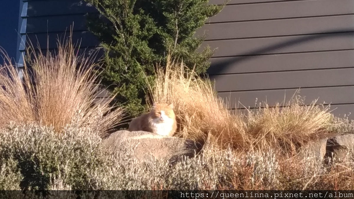 P_20190408_171931_vHDR_Auto.jpg P_20190408_171931_vHDR_Auto.jpg