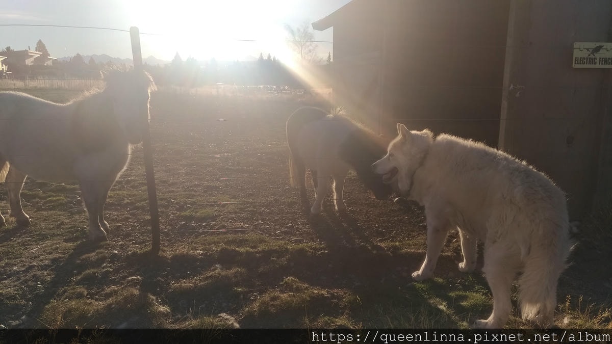 P_20190408_172603_vHDR_Auto.jpg P_20190408_172603_vHDR_Auto.jpg