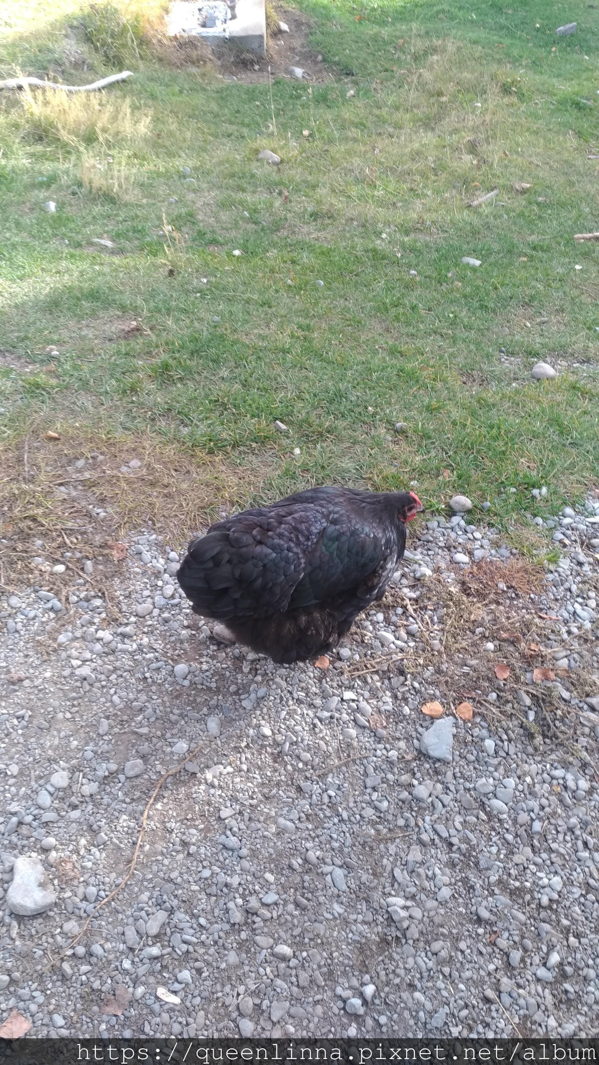 P_20190409_151845_vHDR_Auto.jpg P_20190409_151845_vHDR_Auto.jpg