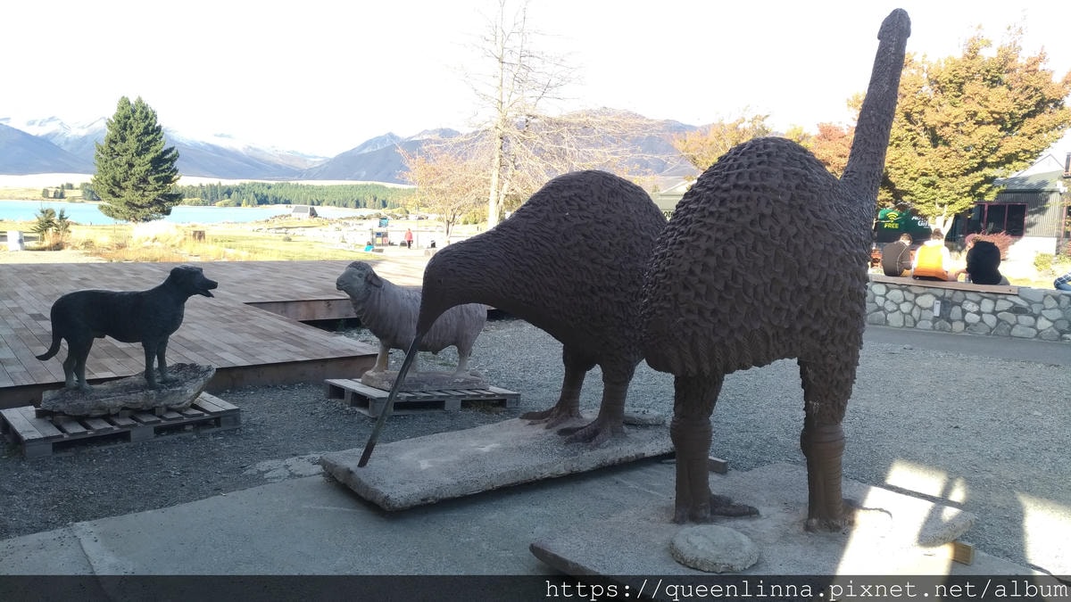 P_20190409_164325.jpg P_20190409_164325.jpg