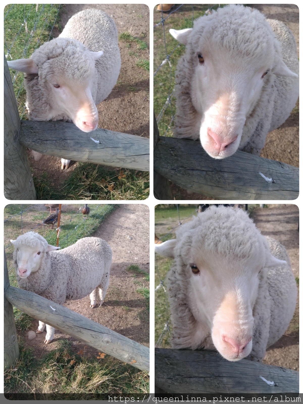 19-06-19-16-11-58-312_deco.jpg 19-06-19-16-11-58-312_deco.jpg