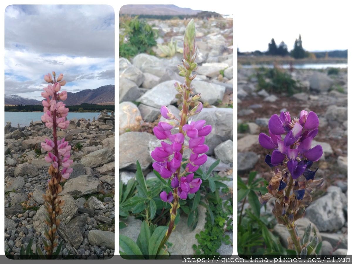 19-06-19-16-14-11-996_deco.jpg 19-06-19-16-14-11-996_deco.jpg