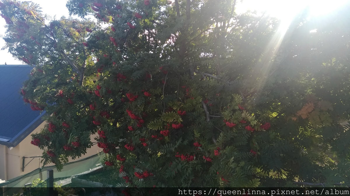 P_20190409_085252_vHDR_Auto.jpg P_20190409_085252_vHDR_Auto.jpg