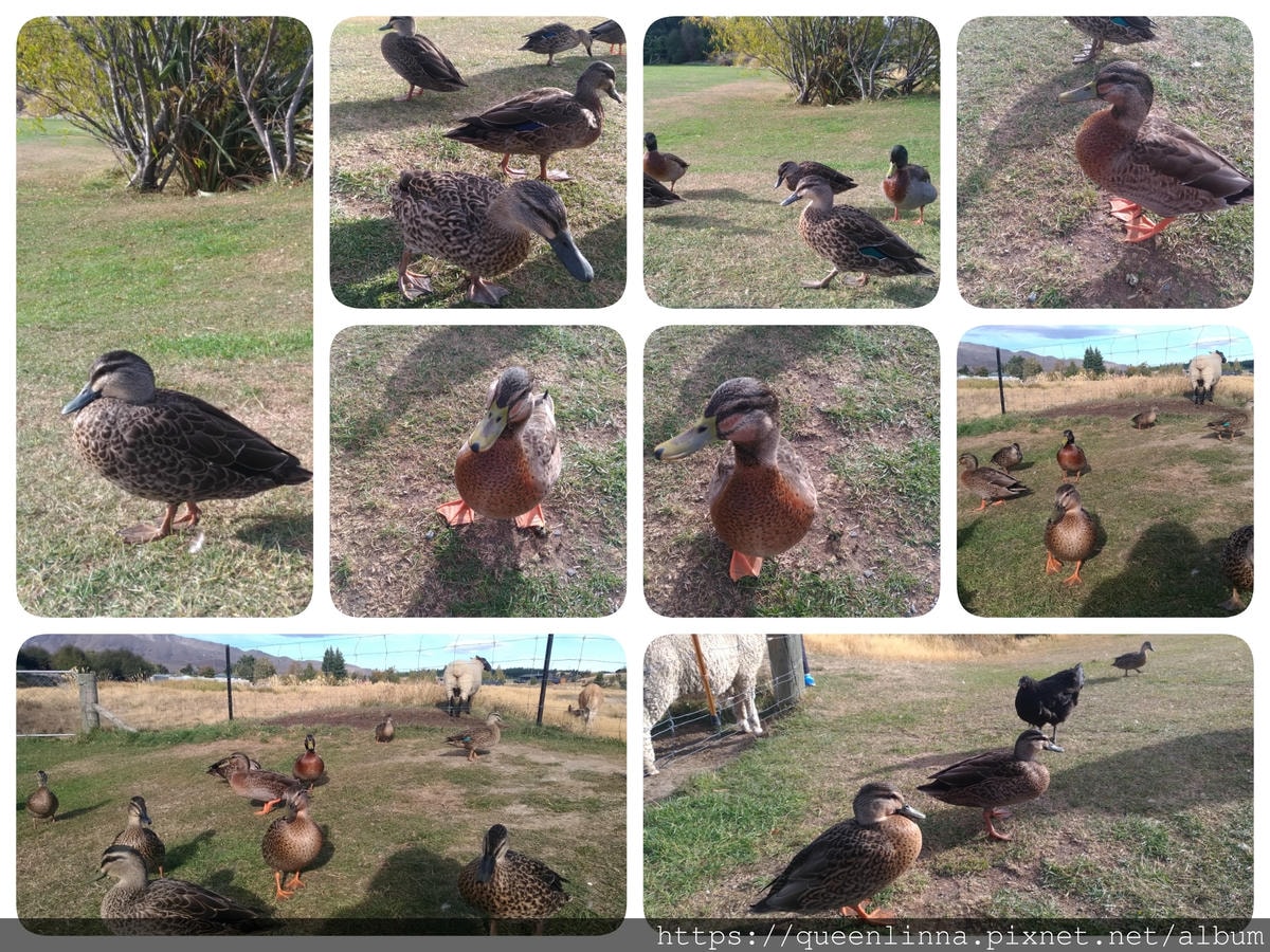 19-06-19-16-07-54-083_deco.jpg 19-06-19-16-07-54-083_deco.jpg