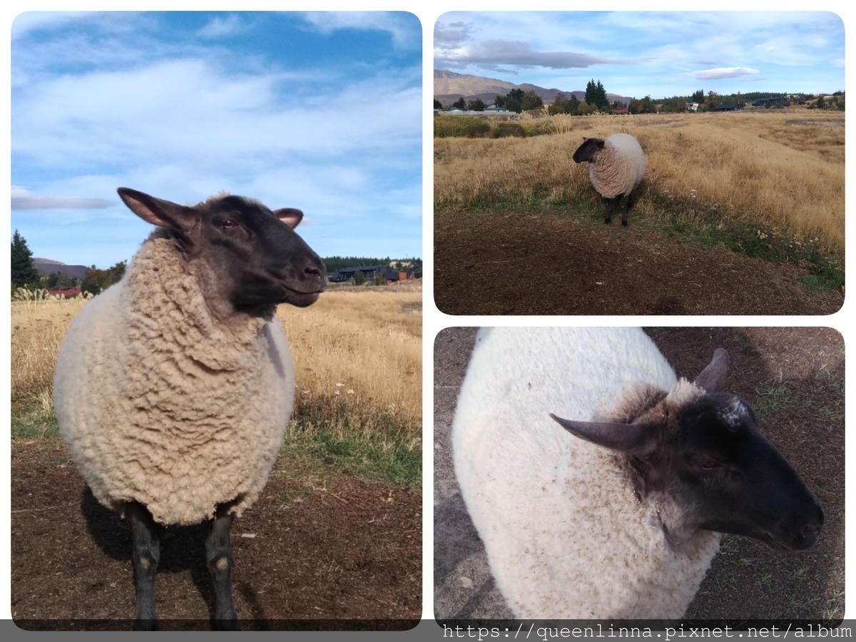 19-06-19-16-10-45-384_deco.jpg 19-06-19-16-10-45-384_deco.jpg