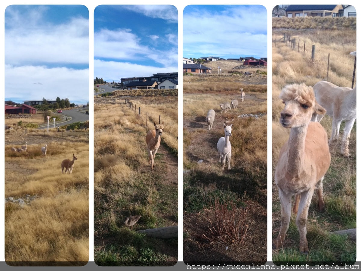 19-06-19-16-09-21-174_deco.jpg 19-06-19-16-09-21-174_deco.jpg