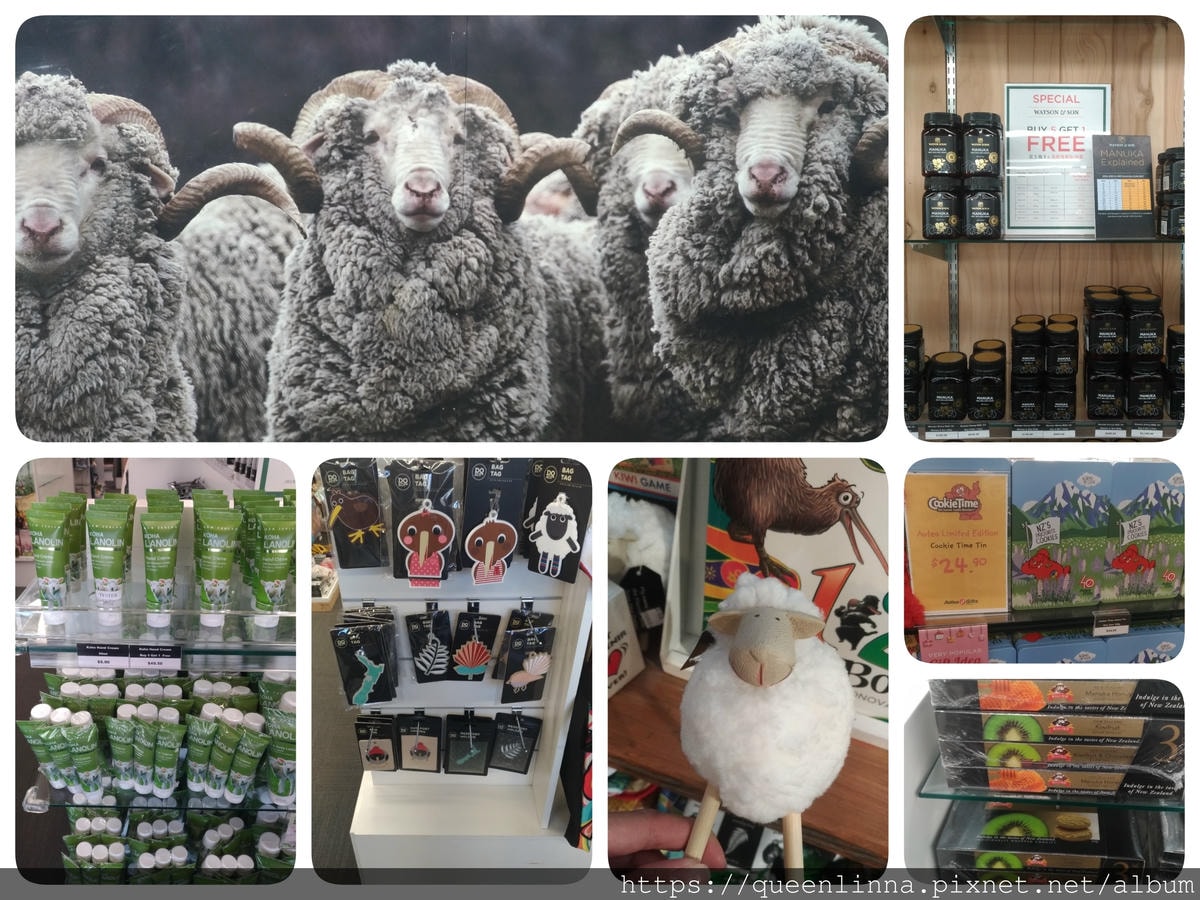 19-06-19-16-02-32-565_deco.jpg 19-06-19-16-02-32-565_deco.jpg