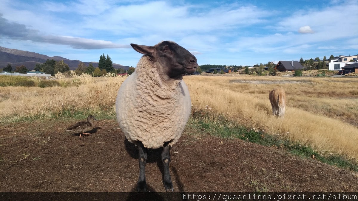 P_20190409_154003_vHDR_Auto.jpg P_20190409_154003_vHDR_Auto.jpg