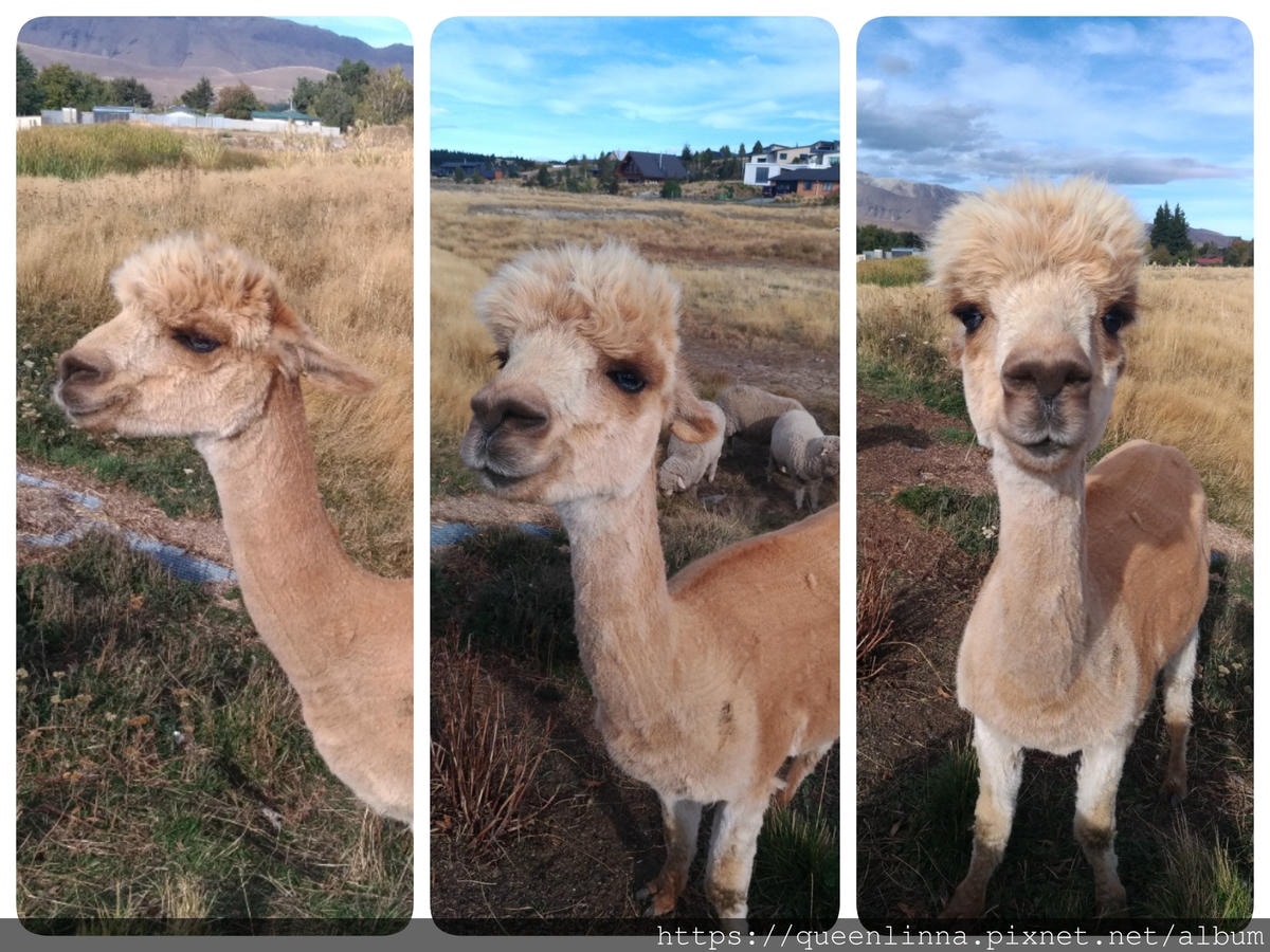 19-06-19-16-12-43-542_deco.jpg 19-06-19-16-12-43-542_deco.jpg