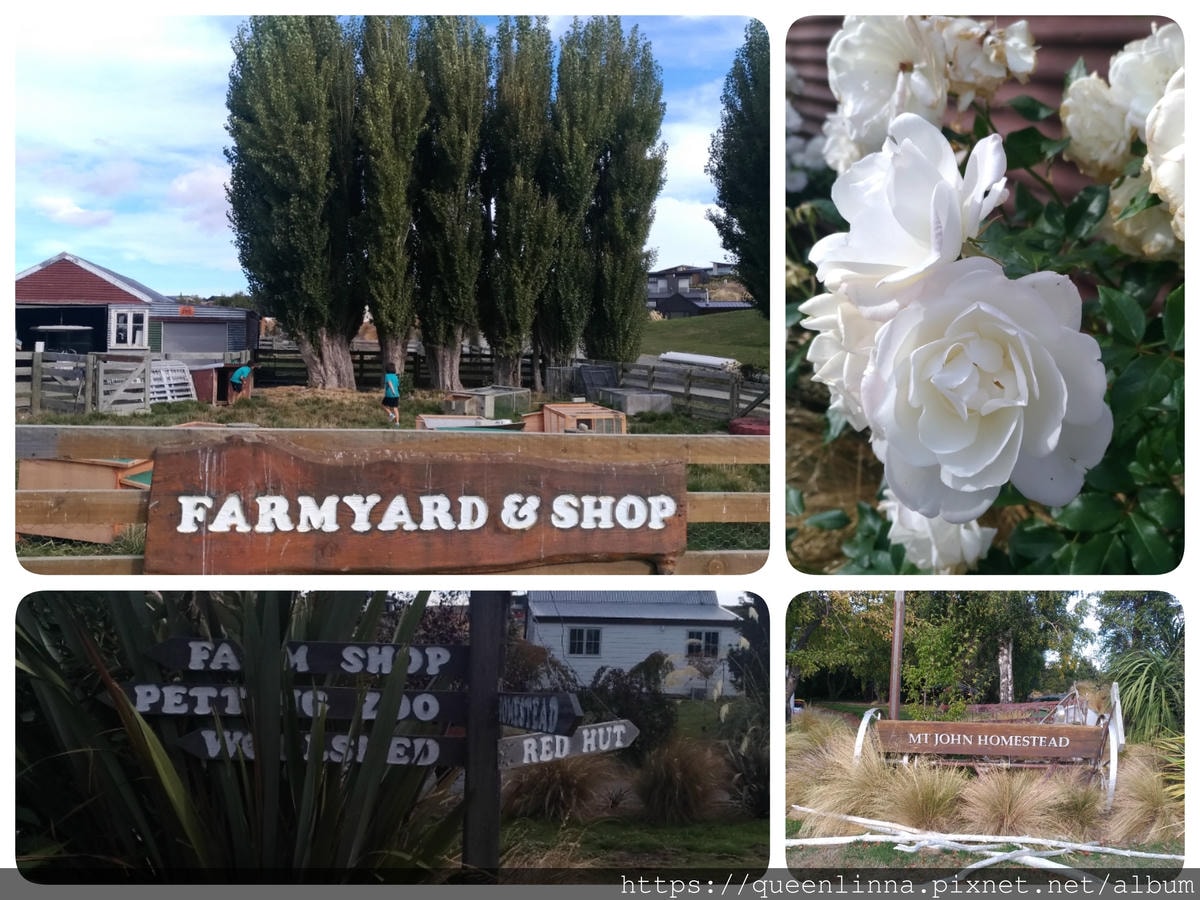 19-06-19-16-05-50-196_deco.jpg 19-06-19-16-05-50-196_deco.jpg