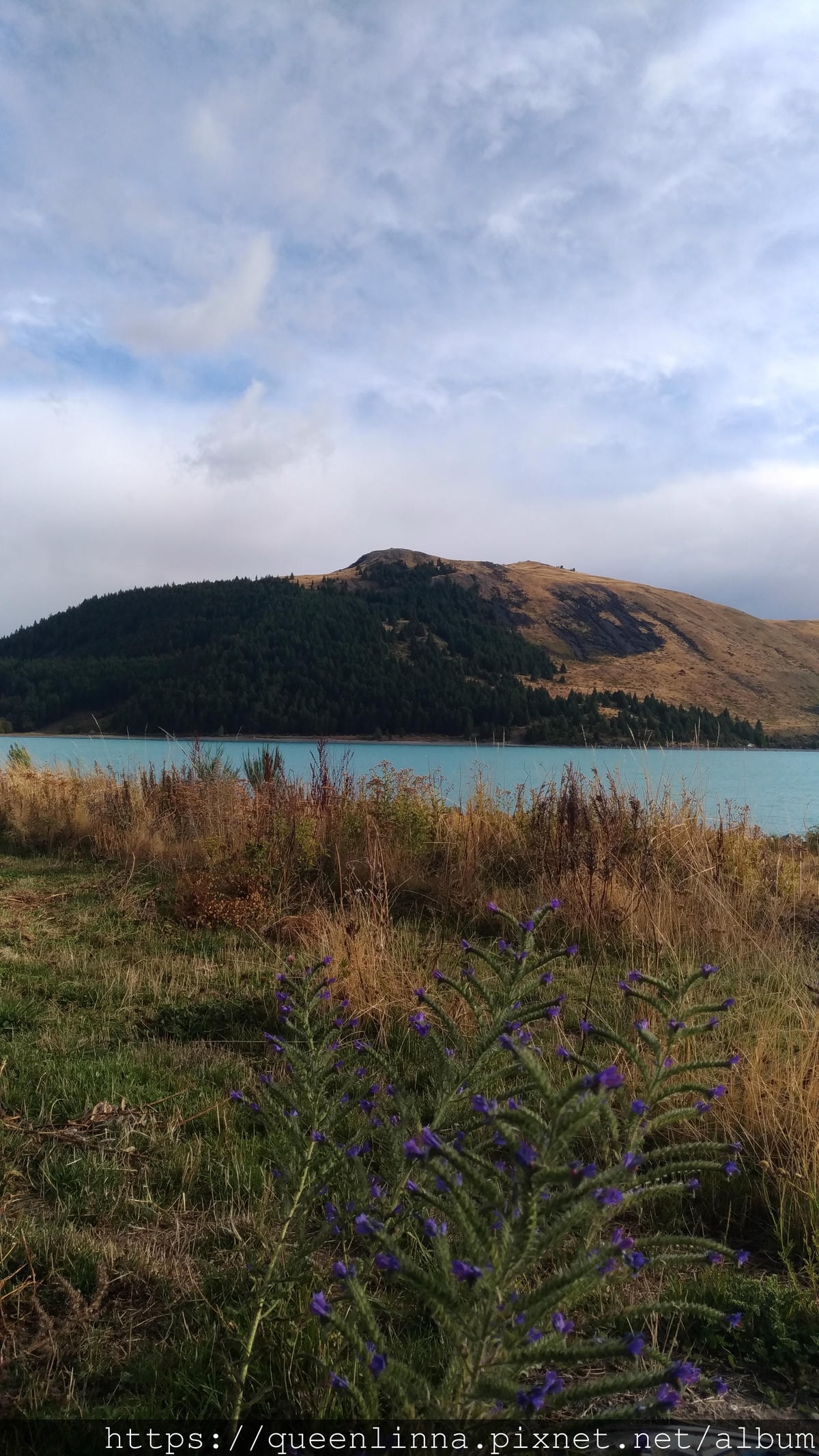 P_20190410_094117.jpg P_20190410_094117.jpg