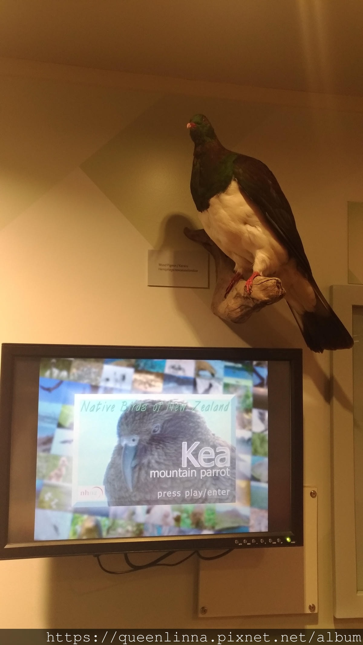 P_20190410_114935.jpg P_20190410_114935.jpg