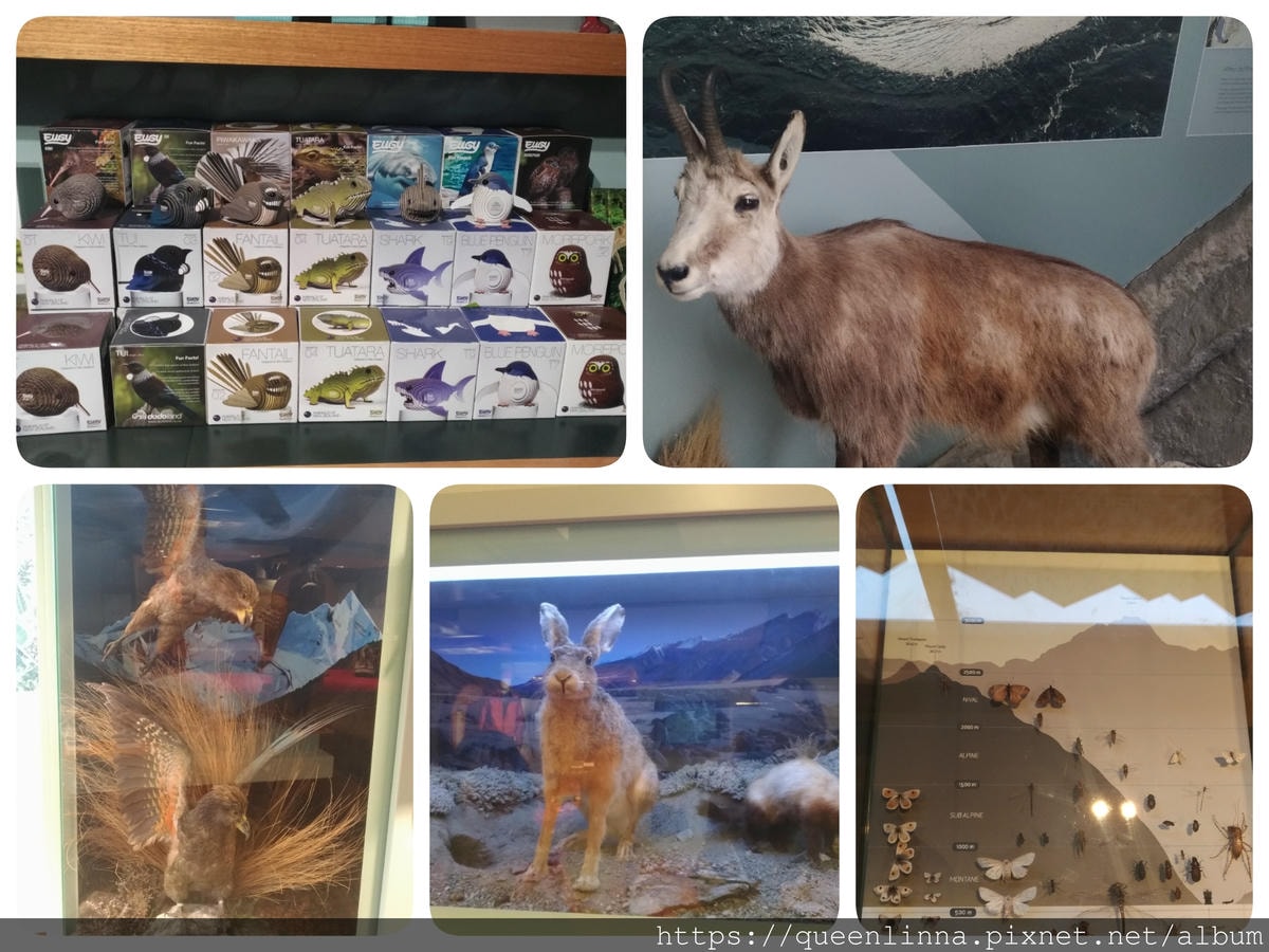 19-06-20-15-17-47-389_deco.jpg 19-06-20-15-17-47-389_deco.jpg