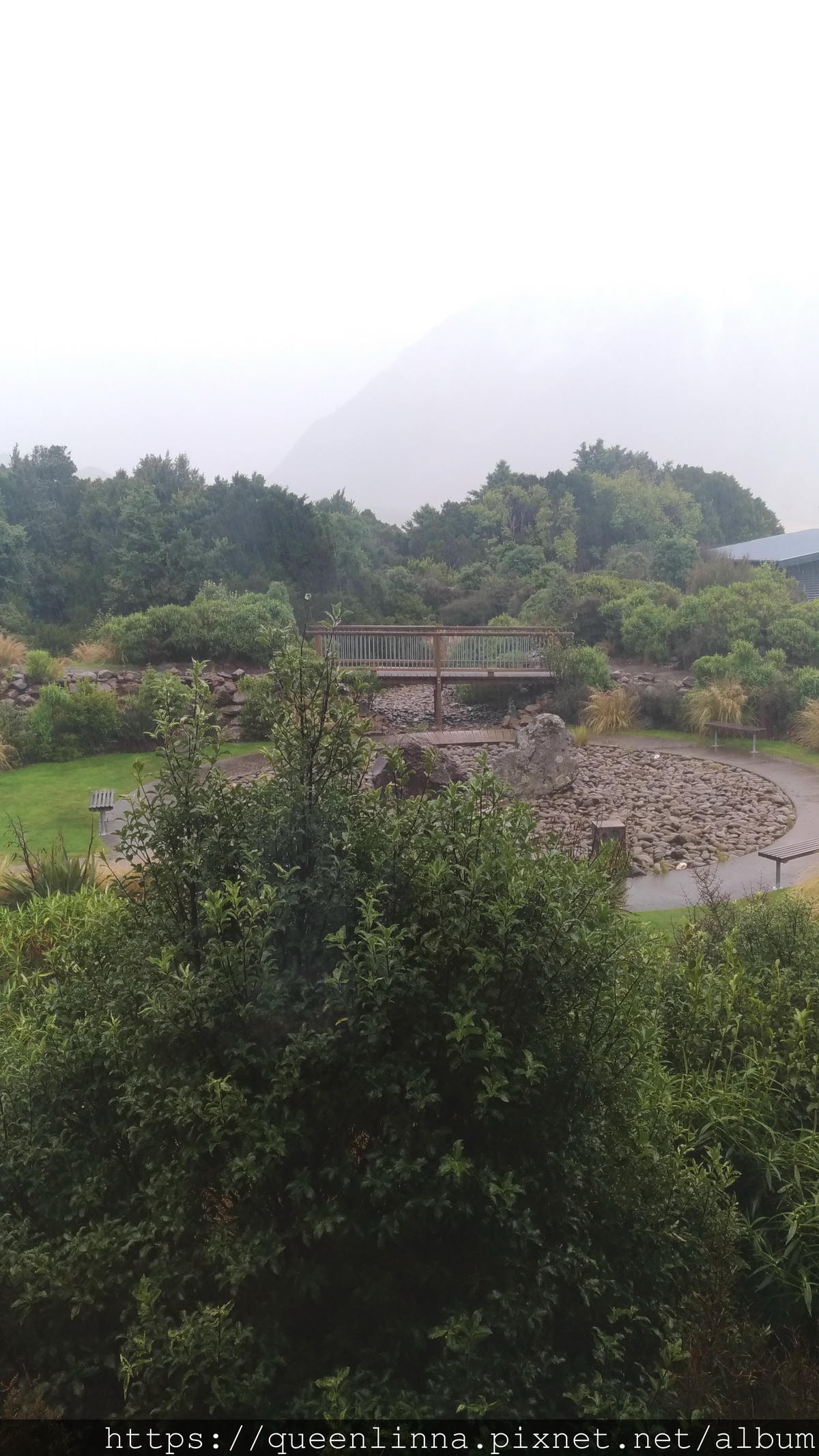 P_20190410_115442.jpg P_20190410_115442.jpg