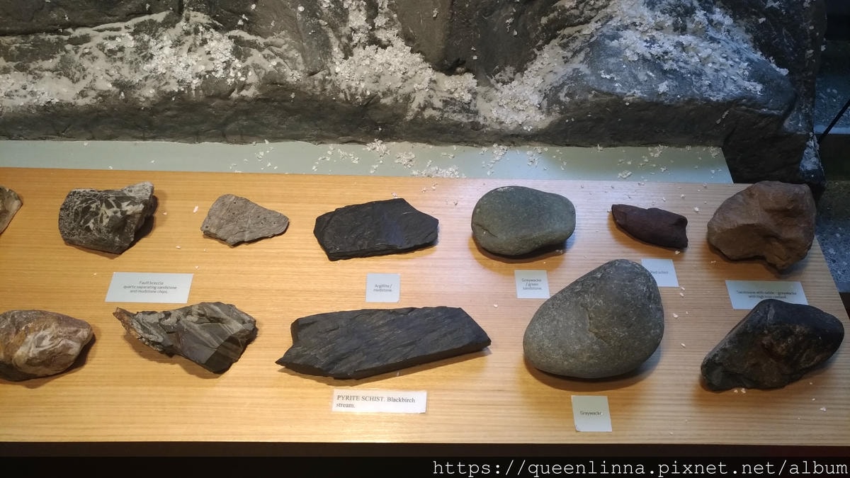 P_20190410_115054.jpg P_20190410_115054.jpg