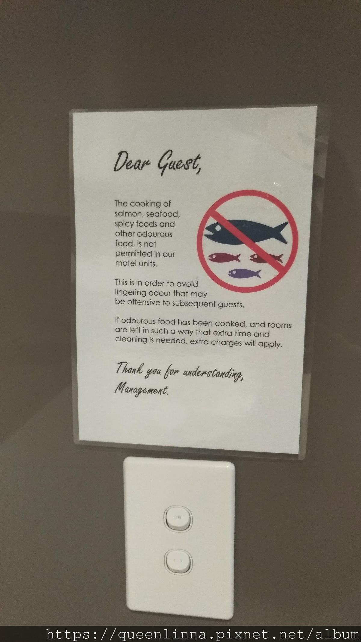 P_20190410_145031.jpg P_20190410_145031.jpg