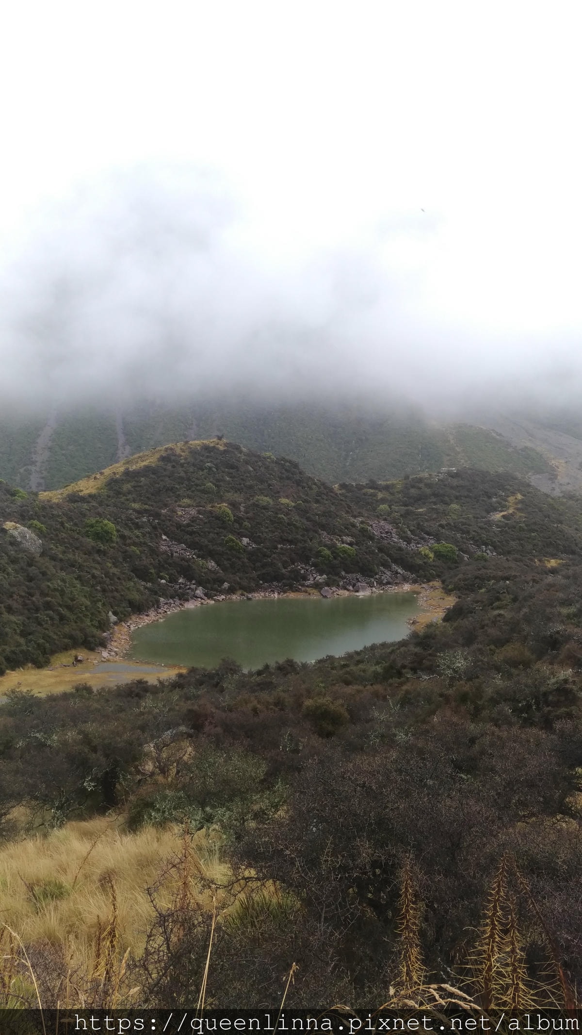 P_20190411_103006.jpg P_20190411_103006.jpg