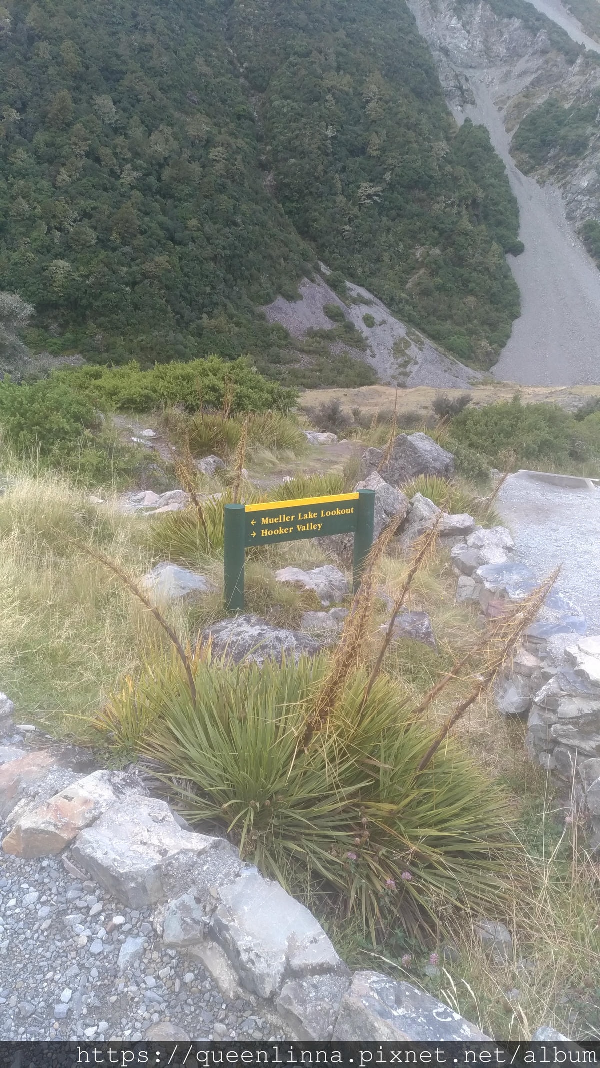 P_20190411_162112.jpg P_20190411_162112.jpg