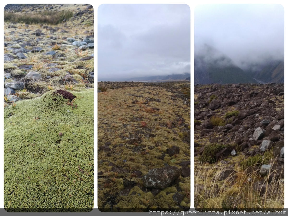 19-07-02-10-24-52-149_deco.jpg 19-07-02-10-24-52-149_deco.jpg