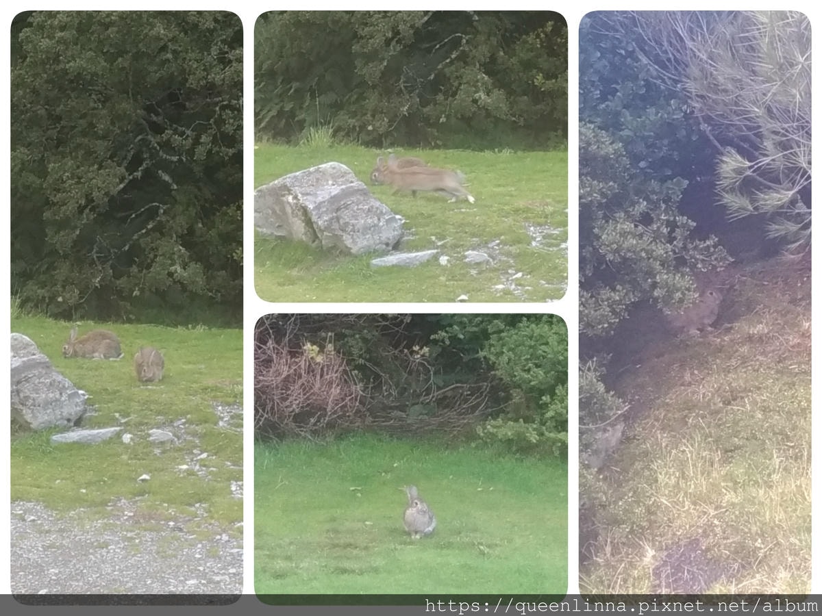 19-07-02-10-28-38-178_deco.jpg 19-07-02-10-28-38-178_deco.jpg