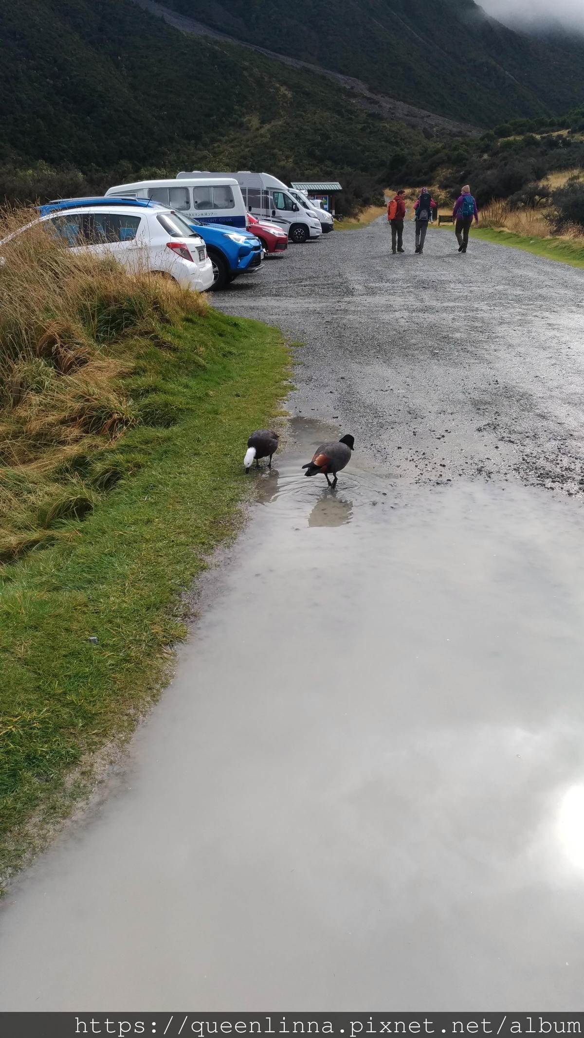 P_20190411_123051.jpg P_20190411_123051.jpg