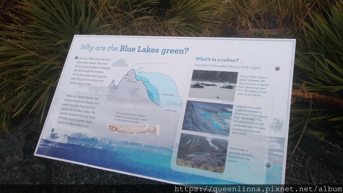 P_20190411_103013.jpg P_20190411_103013.jpg