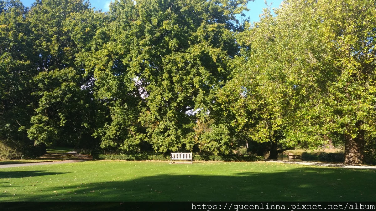 P_20190412_150043.jpg P_20190412_150043.jpg